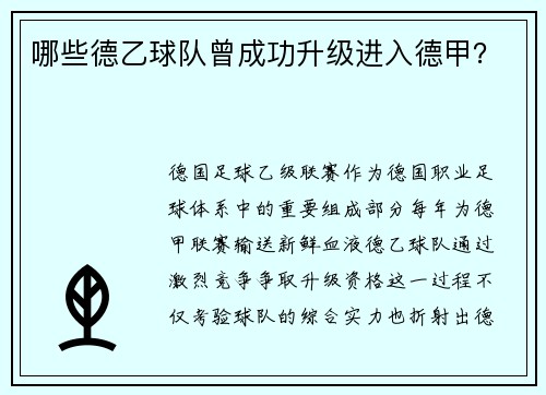 哪些德乙球队曾成功升级进入德甲？